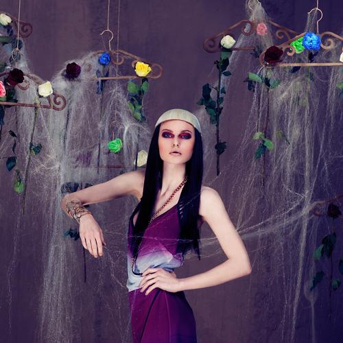Photo #3423707