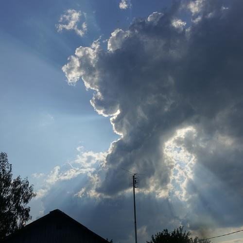 Photo #3423805