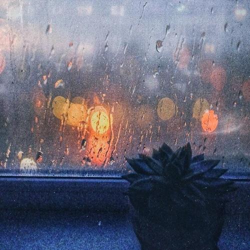 Photo #3424456