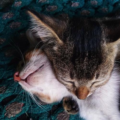 Love.