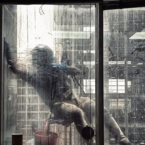 The real Spiderman at work