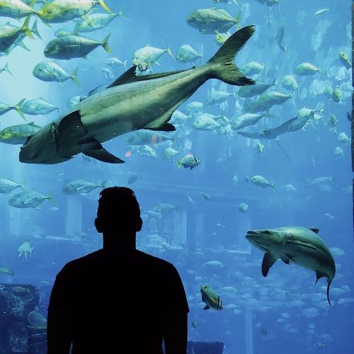 Параллельный мир