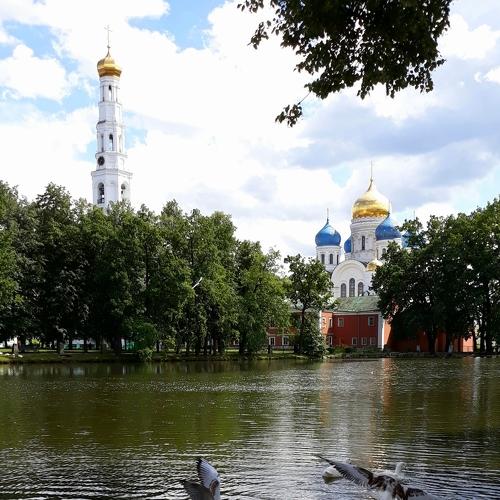 Лебеди в монастыре
