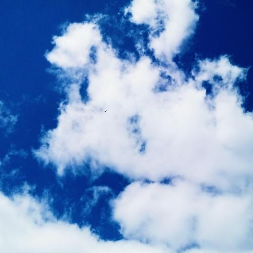 Photo #3425887