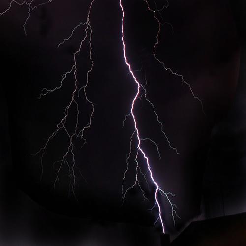 Photo #3426312