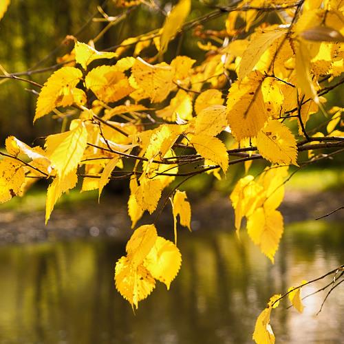 Photo #3426630
