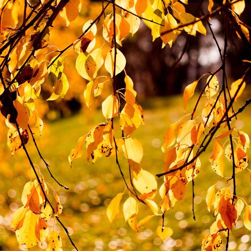 Photo #3426633