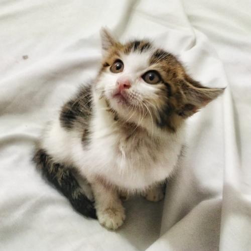 Photo #3427004
