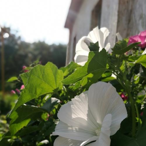 Photo #3427205
