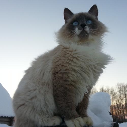 Photo #3427375