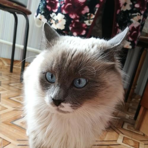 Photo #3427384