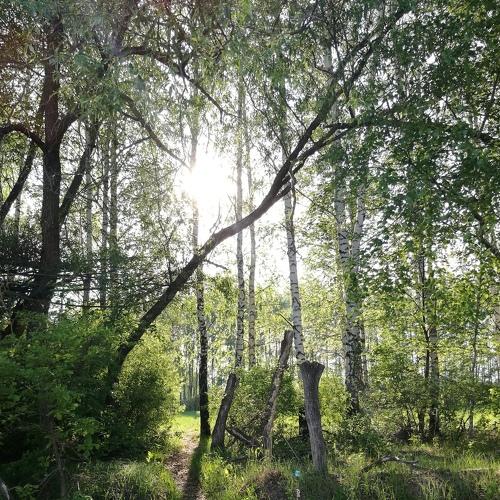 Photo #3427461
