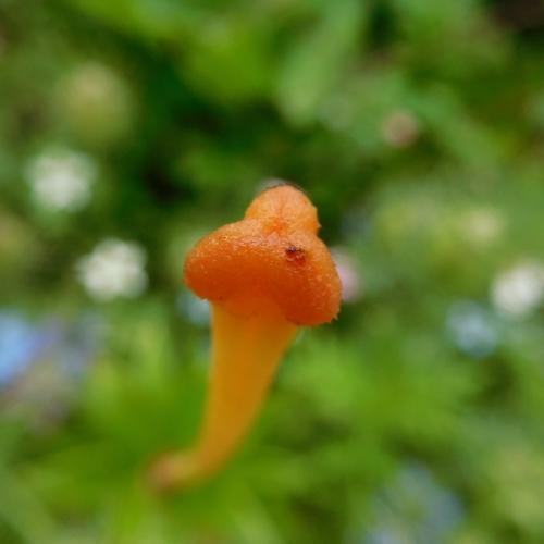 Photo #3427672