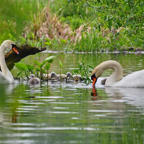 Photo #3427944
