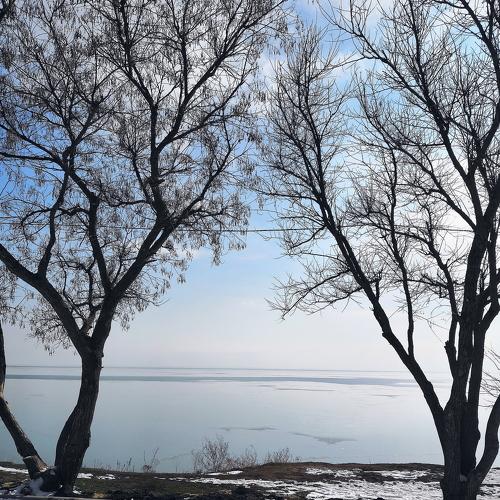 Photo #3428288
