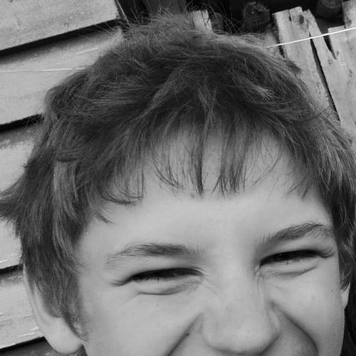 Photo #3428779