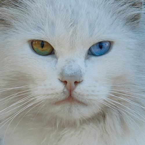 Photo #3428844