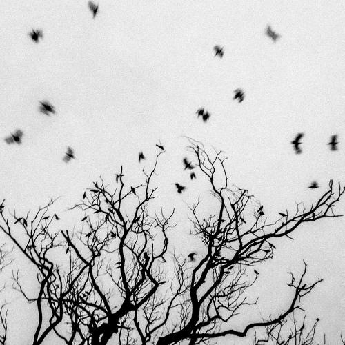 Scattered