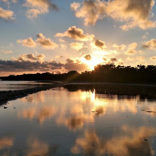 Sunset in the mangrooves