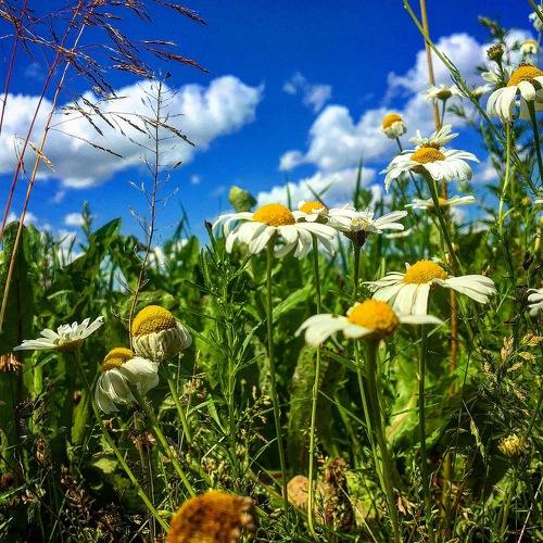 Photo #3430389