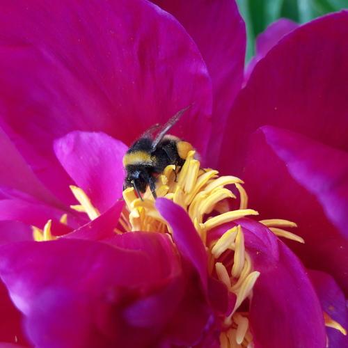 Photo #3430495