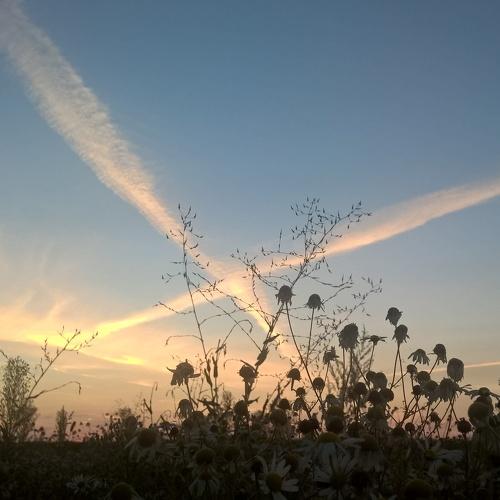 Photo #3430637