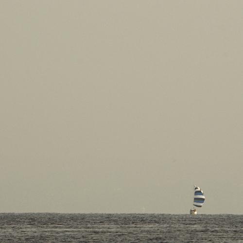 Photo #3430689