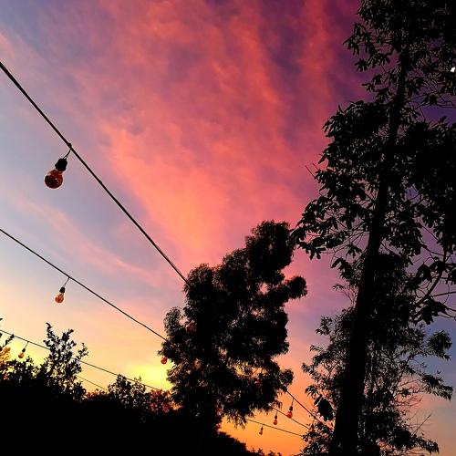 Photo #3430714
