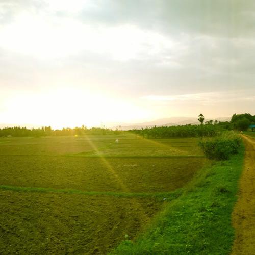 Sunset in Village