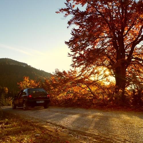 Photo #3431629