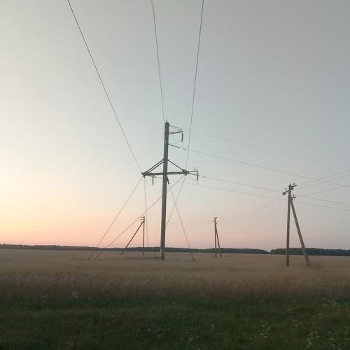 Photo #3431790