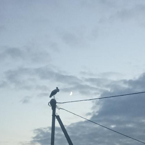 Photo #3431816