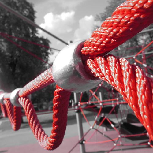 Photo #3432027