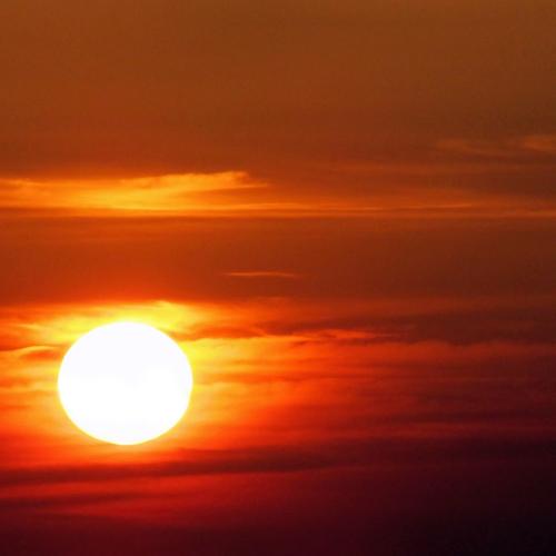 Lonely Sun