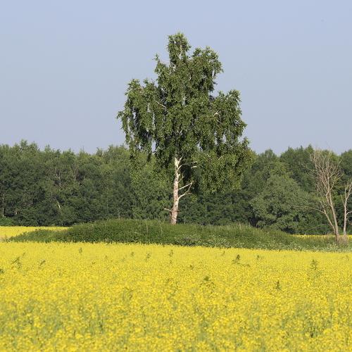 Одиноко