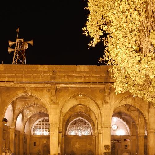 Sidi Saiyyed Mosque, Ahemdabad