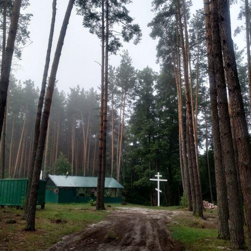 Тишина
