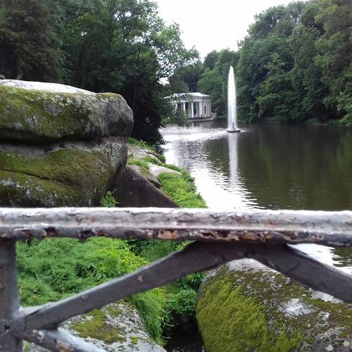 Photo #3436390