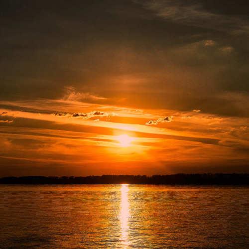 Photo #3436566