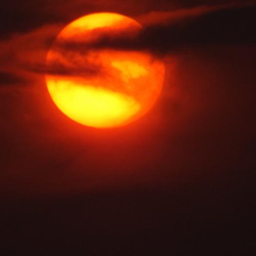 ZOOM SUNSET