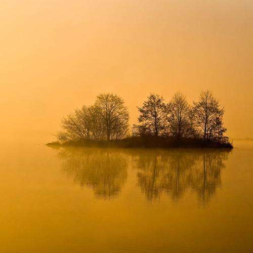 Desert Island