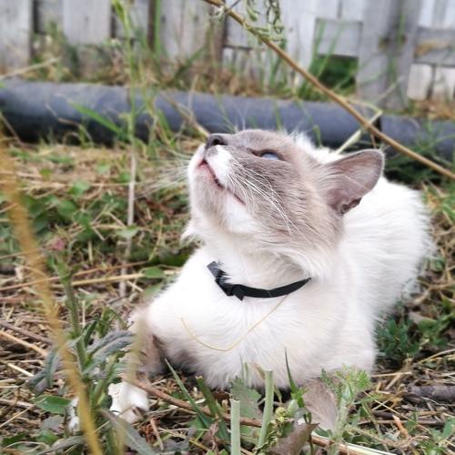 Photo #3439194