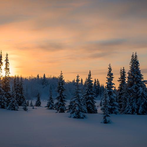 Photo #3439330