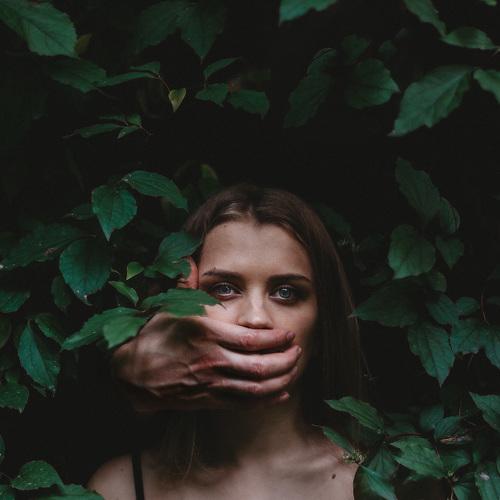 Photo #3439380