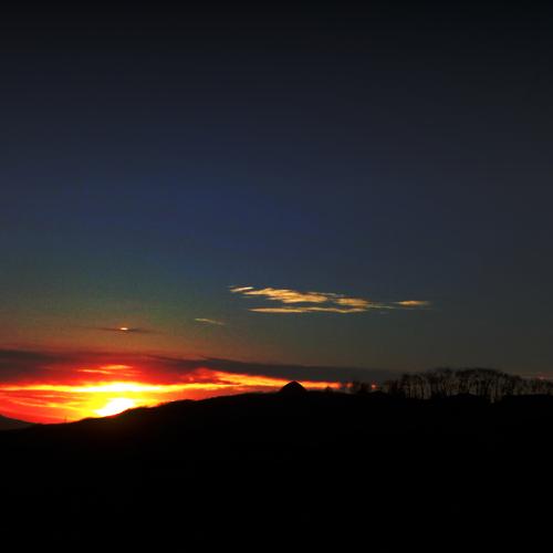 По дороге домой