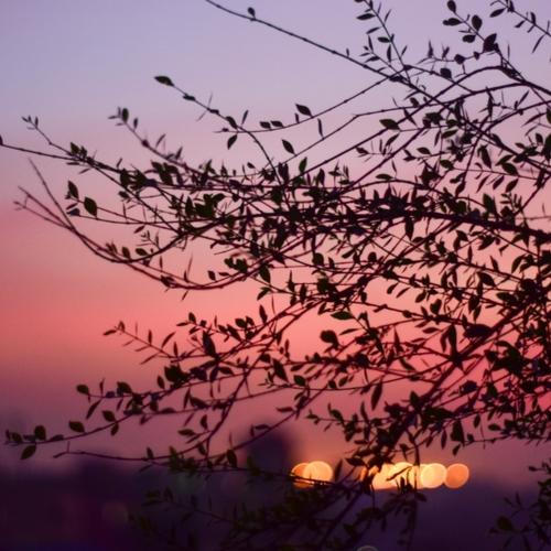 Another day is over from my life
