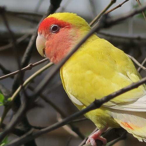 Photo #3440168