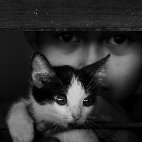 With my cat