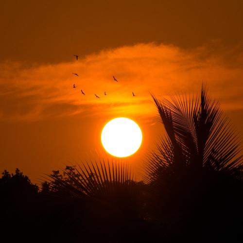 Sunset