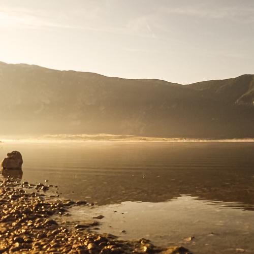 Photo #3441579